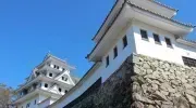 Japan Visitor - gujo-castle-1.jpg