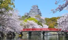 Le château de Himeji, le plus célèbre du Japon.