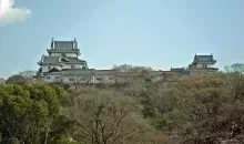 Japan Visitor - wakayama-castle-778.jpg