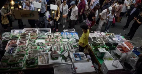 Le poisson du Tohoku est très réputé sur le marché