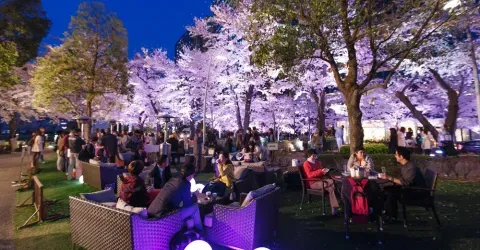 Tokyo Midtown est un endroit de choix pour célébrer yozakura à Roppongi