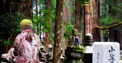 Koyasan is one of the most popular spiritual retreat destinations in Japan