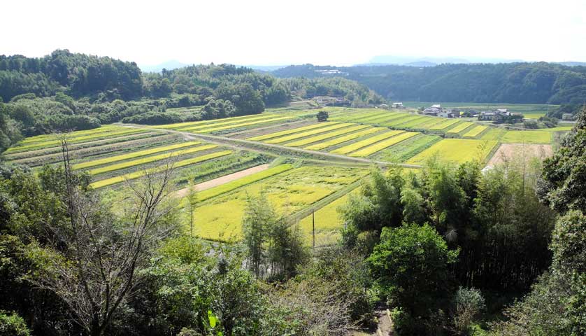 Ajimu near Beppu, Oita Prefecture.