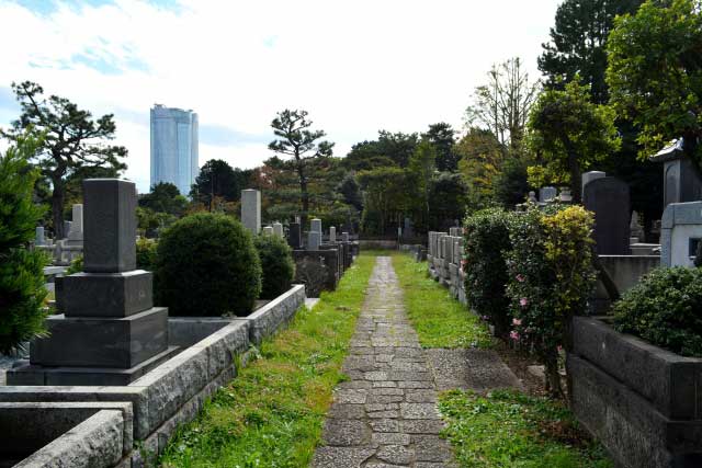Aoyama Cemetery, Tokyo, Japan.