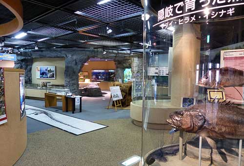 Oki Nature Museum, Saigo, Dogo, Oki Islands.