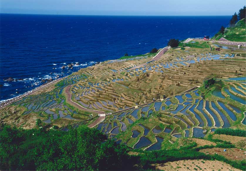 Senmaida Rice Terraces, Ishikawa Prefecture.