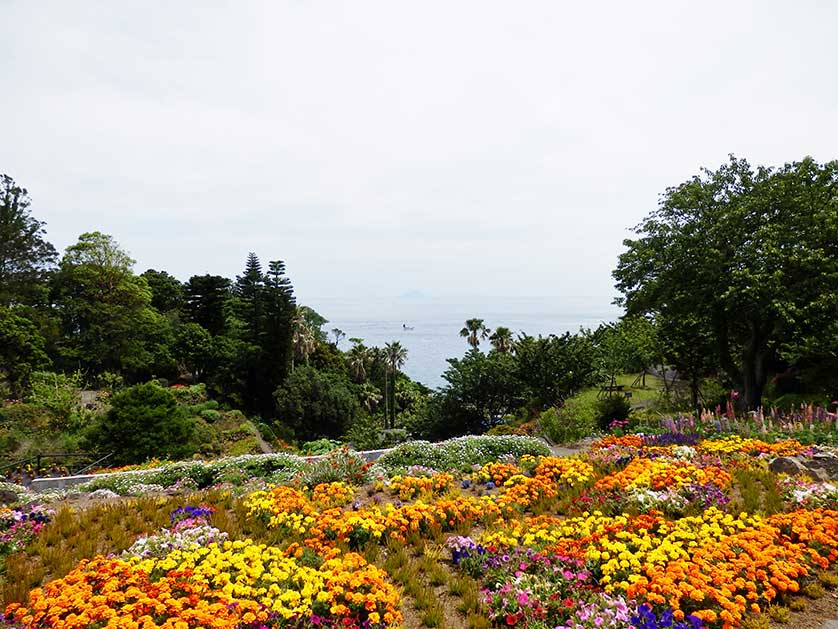 Izu Kaiyo Park, Jogasaki Coast.