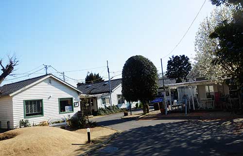 Johnson Town, Saitama Prefecture, Japan.