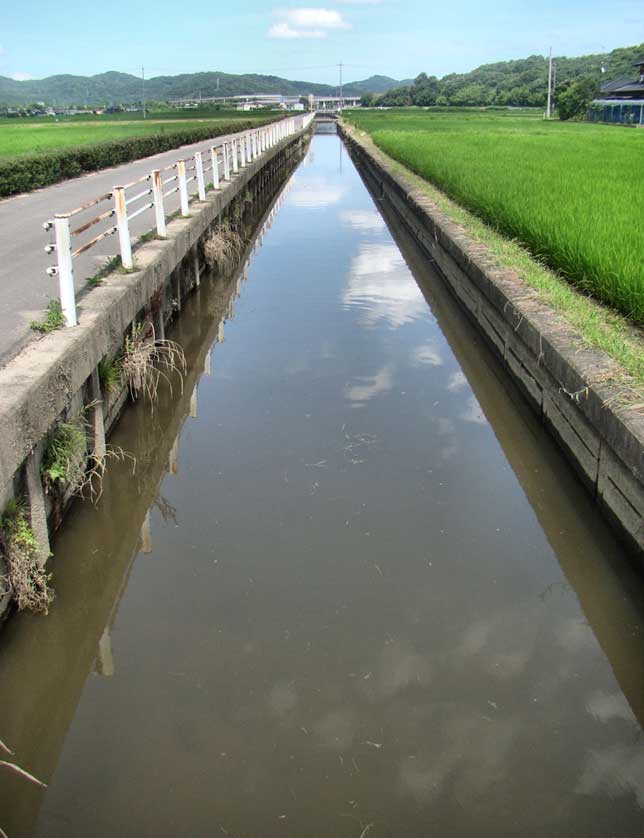 View of the rice fields from Kibi Bike Path, Okayama Prefecture.