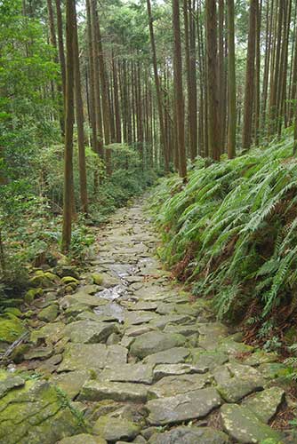 Magose-toge Pass, Owase, Mie Prefecture.