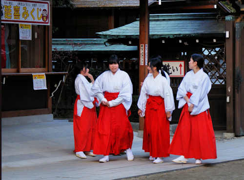 A group of temporary Miko hired for the New Year Period at a shrine in Saga City.