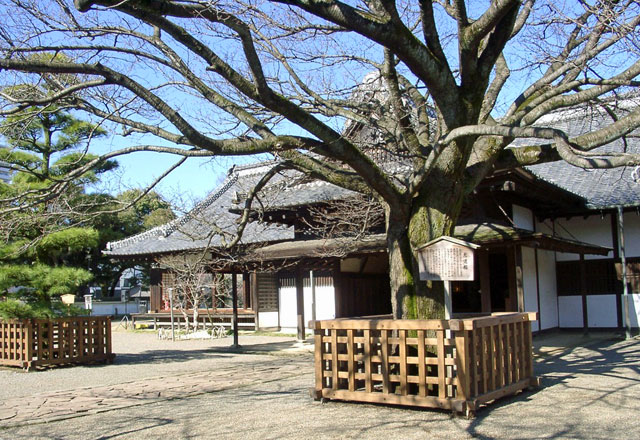 Seicho, Kodokan, Ibaraki Prefecture, Japan.