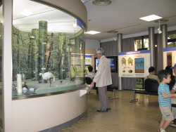 Visitor Hall, Institute of Nature Study, Tokyo.