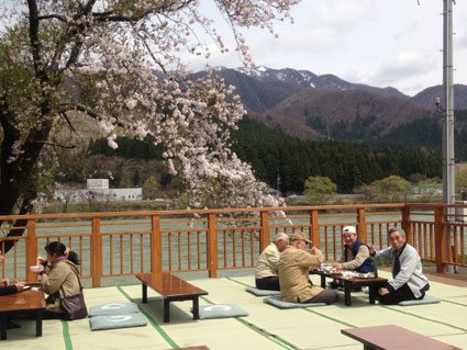 Sakihana Onsen cherry blossom party, Niigata Prefecture