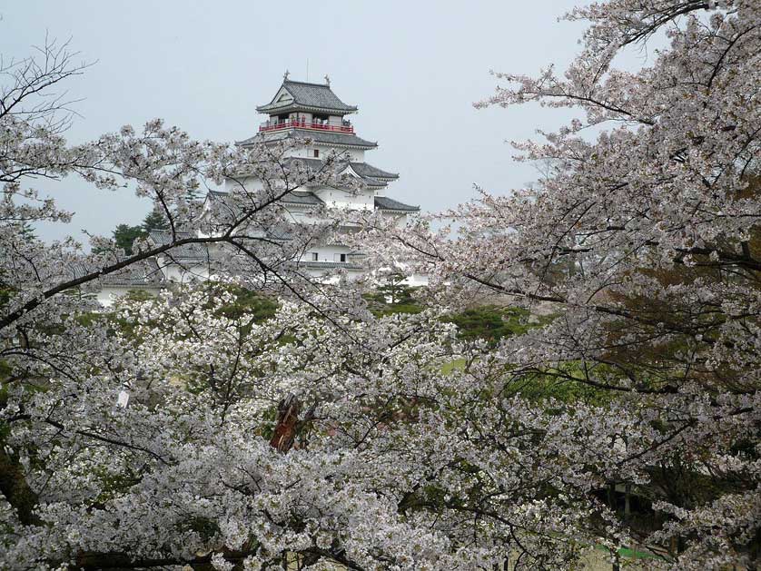 Castle and cherry blossoms.