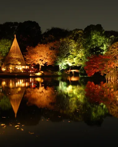 Illuminations éclairant les feuilles d'automne, parc Rikugien 