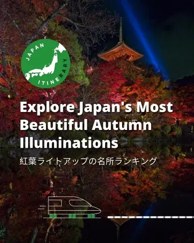 Explore Japan's most beautiful autumn illuminations
