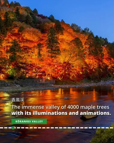 Korankei Valley is home to 4,000 illuminated maple trees