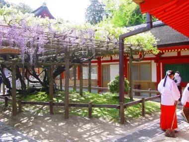 El santuario Kasuga Taisha