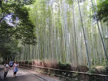 Bambouseraie arashiyama