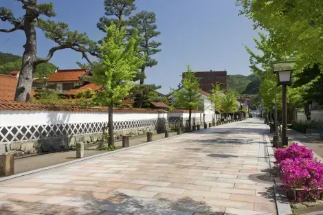 Townscape of Tsuwano Tonomachi street with ginkgo trees