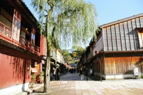 El distrito de geishas de Kanazawa te invita a dar un paseo atemporal, entre sus callejones y edificios antiguos.