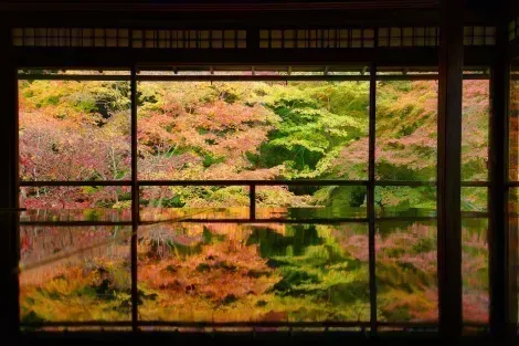 Tempio di Ruriko-in a Kyoto: un luogo da visitare per vivere i magnifici colori dell'autunno