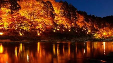 Illuminations de nuit dans la vallée de Korankei