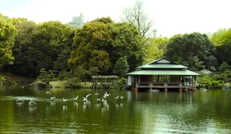 Teahouse Ryo-tei, located on one of three islands in the garden Kiyosumi Koen Tokyo.