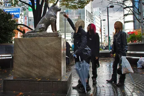 La estatua de Hachikō en Shibuya es un punto de encuentro