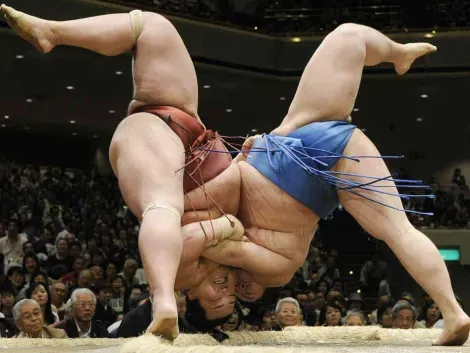 The sumo wrestling can be staggering.