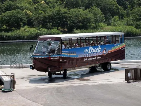 Once out of the water, the Sky Duck bus becomes almost like the others.