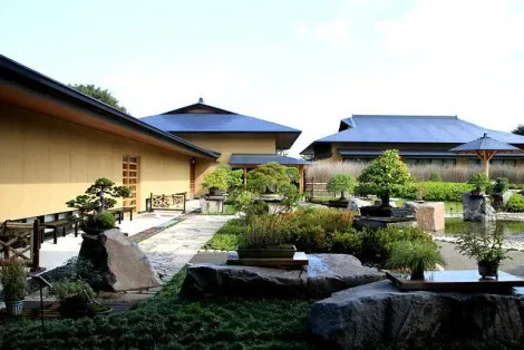 Ōmiya Bonsai Village in Saitama City is home to a museum and multiple private gardens