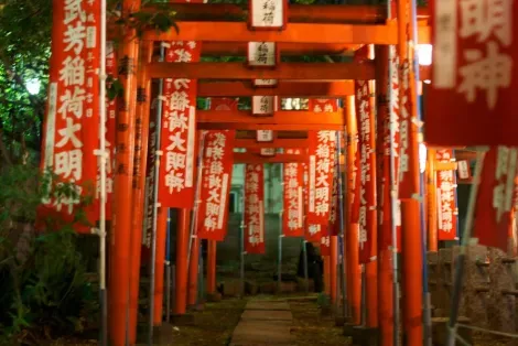 Les torii du temple Kishimojin