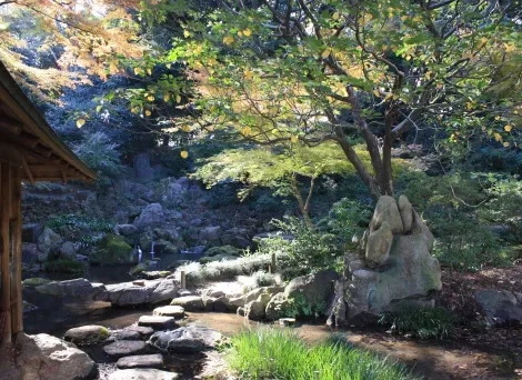Vue depuis le pavillon de thé Takimi-Chaya du jardin Rikugi-en