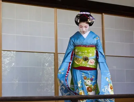 eisha-Schülerin (Maiko) im blauen Kimono