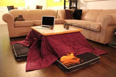 Kotatsu, the heating low table