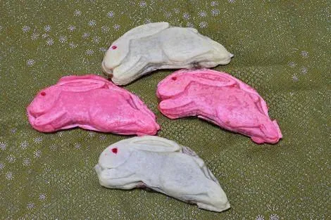 rabbit taiyaki