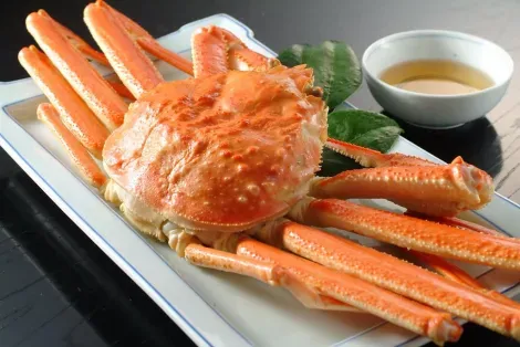 Crabe Matsuba à Kinosaki-Onsen