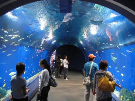 Aquarium d'Osaka