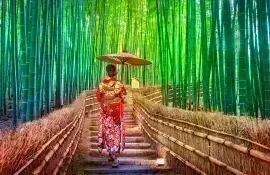 Bambushain in Arashiyama: berühmte touristische Stätte in Kyoto