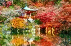 Templo en Kioto durante la temporada de otoño