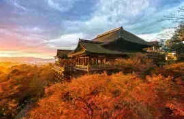 Couleurs d'automne à contempler au temple Kiyomizu-dera à Kyoto, Japon