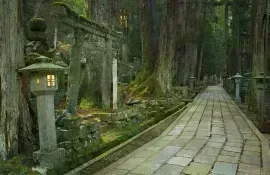 Un camino a través del antiguo cementerio budista Okunoin en Koyasan
