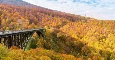 Pont au couleur du Printemps, Aomori