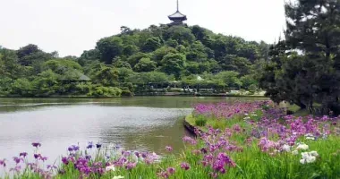 Japan Visitor - sankeien-garden-2017-1.jpg