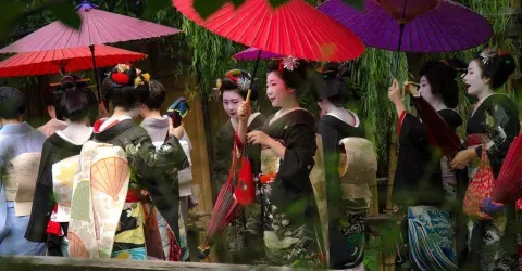 Les geisha rendent visite en petit groupe aux commerçants du quartier de Gion