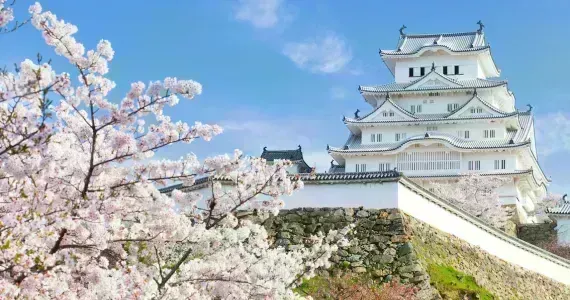 Castello di Himeji, patrimonio mondiale dell'UNESCO, facile accesso da Kyoto per un'escursione 